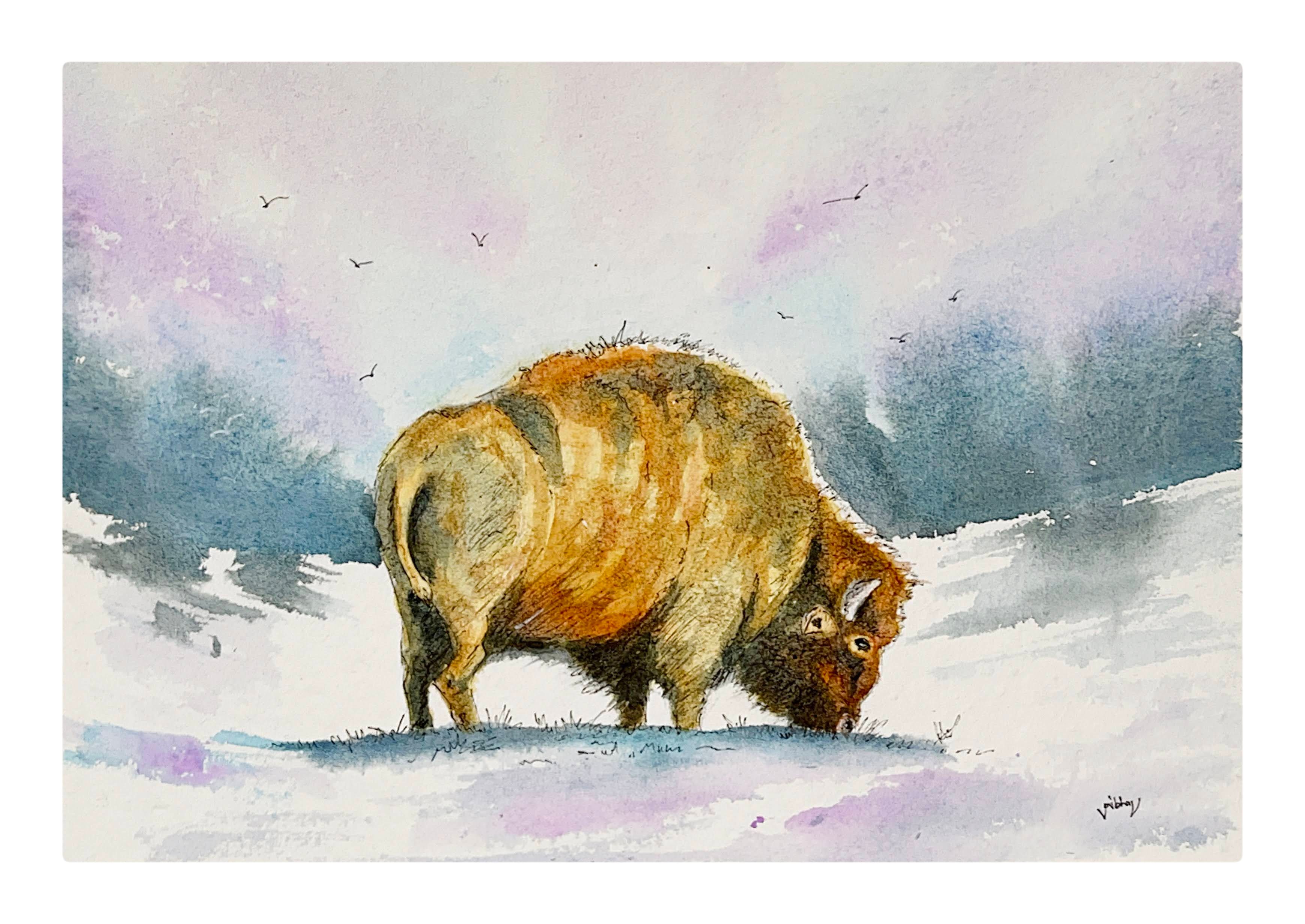 Bison