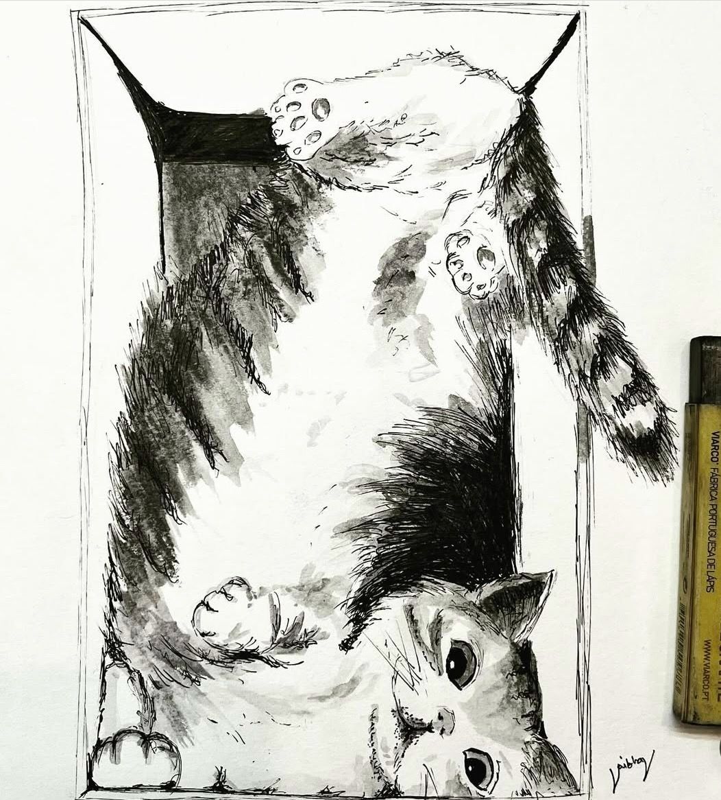 Cat 2